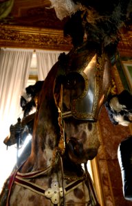 Armeria Reale Torino 22072015 06