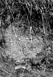 Arkeologisk fyndplats. Garachiné. Panama - SMVK - 004315
