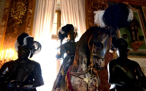 Armeria Reale Torino 22072015 03
