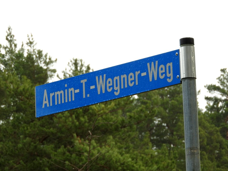 Armin-T.-Wegner-Weg, Neuglobsow 3
