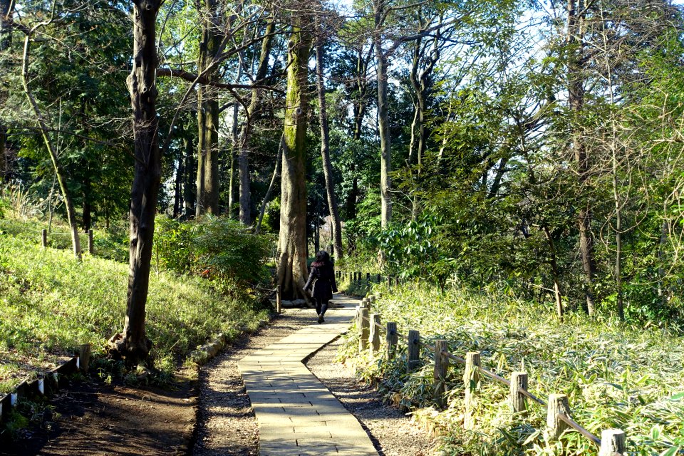 Arisugawa-no-miya Memorial Park - DSC06871