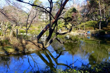 Arisugawa-no-miya Memorial Park - DSC06926