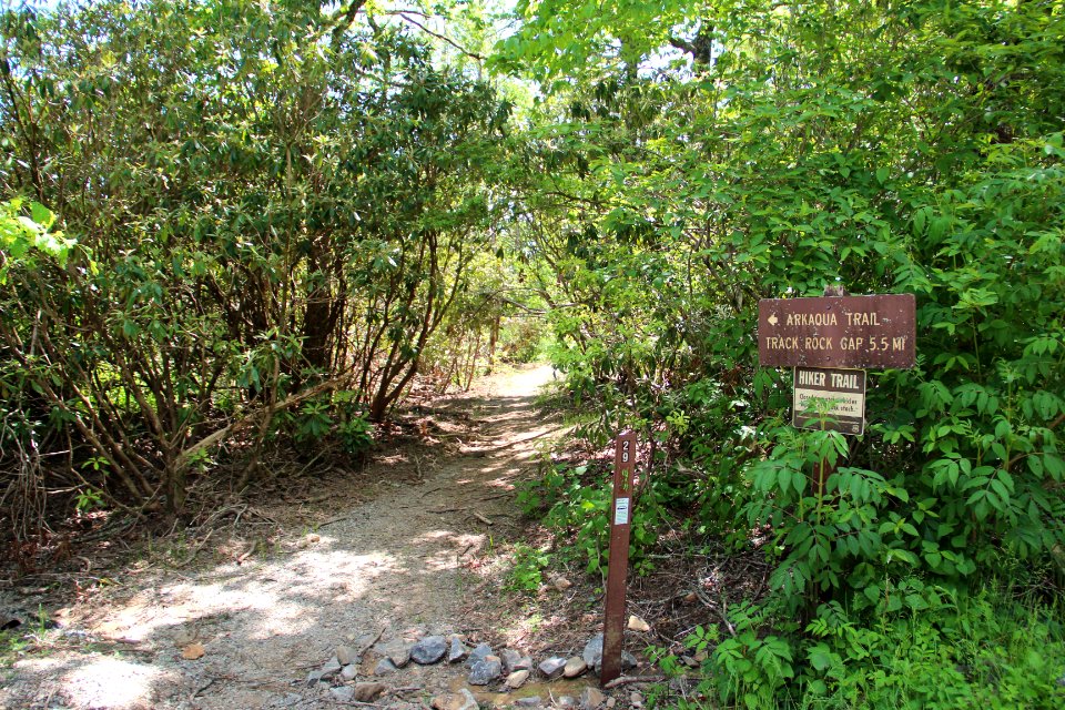 Arkaquah Trail, Brasstown Bald, May 2019