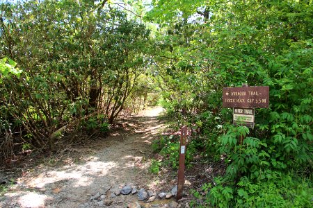 Arkaquah Trail, Brasstown Bald, May 2019