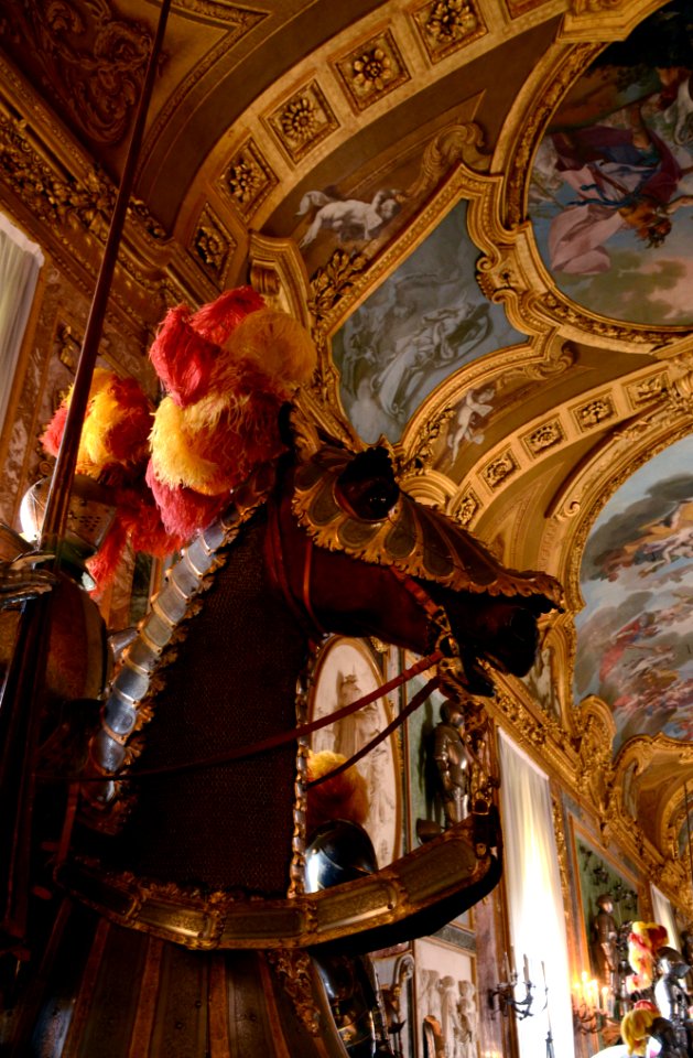 Armeria Reale Torino 22072015 16