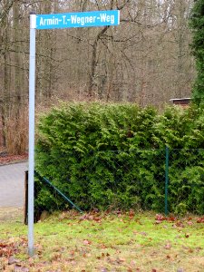 Armin-T.-Wegner-Weg, Neuglobsow 1