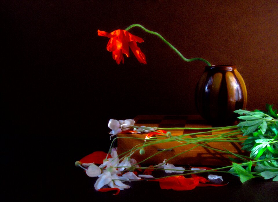 Tulip flower board