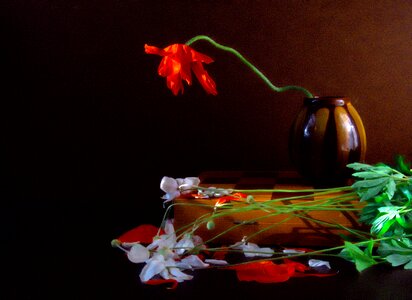 Tulip flower board photo