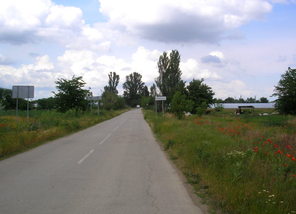 Armeyskoe 1