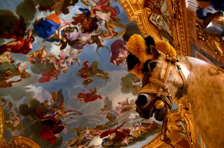 Armeria Reale Torino 22072015 11