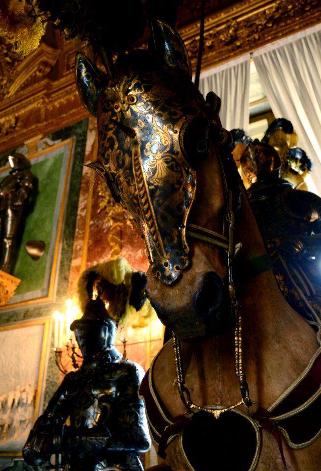 Armeria Reale Torino 22072015 07