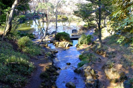 Arisugawa-no-miya Memorial Park - DSC06912