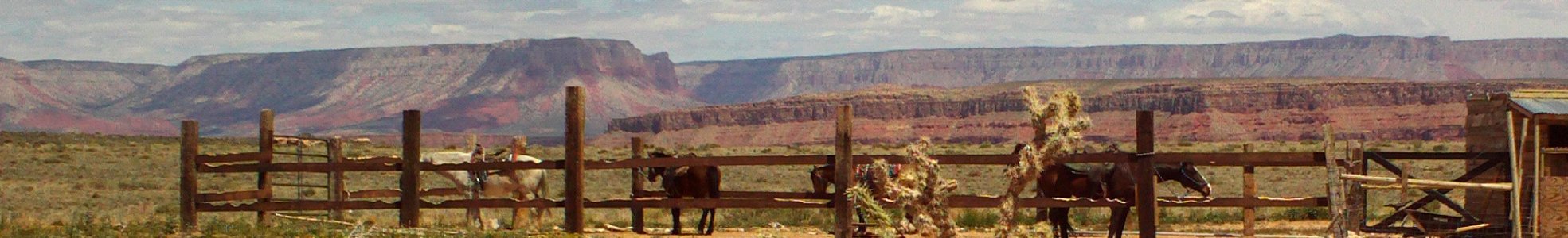 Arizona banner Grand Canyon