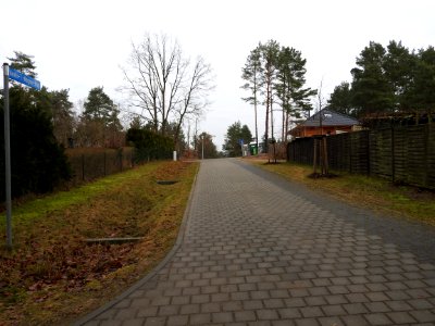 Armin-T.-Wegner-Weg, Neuglobsow 2
