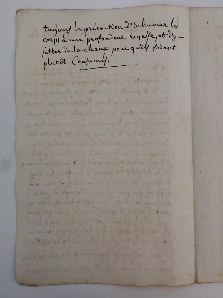Archives du Rhône - Visites des vingt cimetières de la ville de Lyon et de ses Faubourgs, chapelle des Pénitents de la Miséricorde, rapport (2)