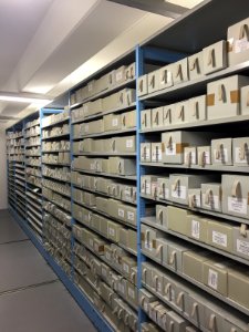 Archivregale - Sächsisches Staatsarchiv Dresden 14
