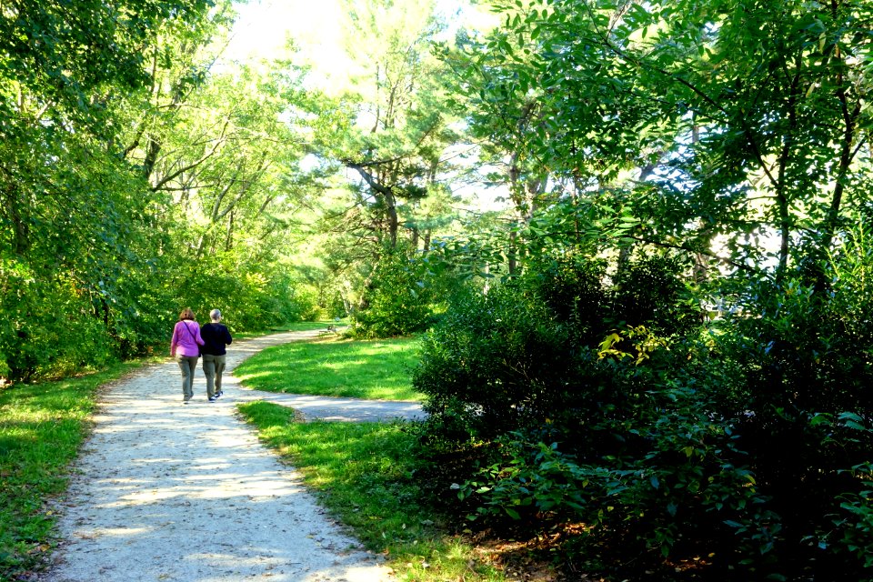 Arlington Bicentennial Park & Alewife Greenway Path - Arlington, MA - DSC07488