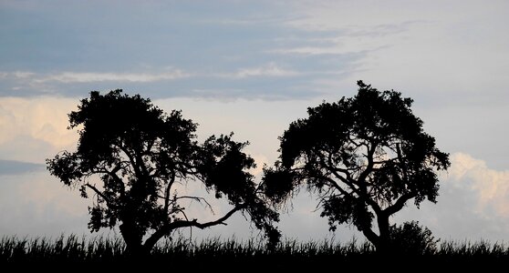 Silhouettes silhouette clouds