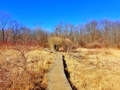 Arlington's Great Meadows - Lexington, MA - 20200224 122123