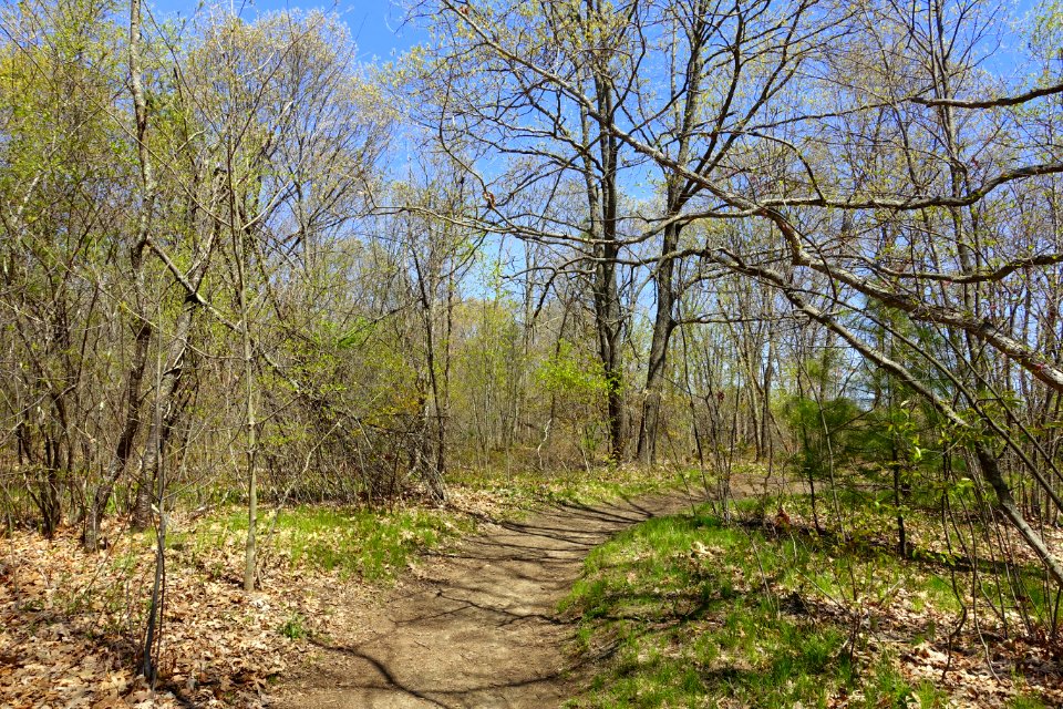 Arlington's Great Meadows - Lexington, MA - DSC01601