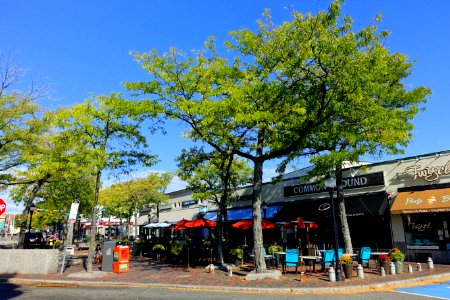 Arlington Center - Arlington, MA - DSC07462