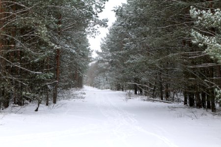 Around Oberjägerweg in Nieder Neuendorf with snow 2021-02-09 19