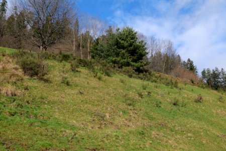 Around Sankenbach 2020-03-12 14