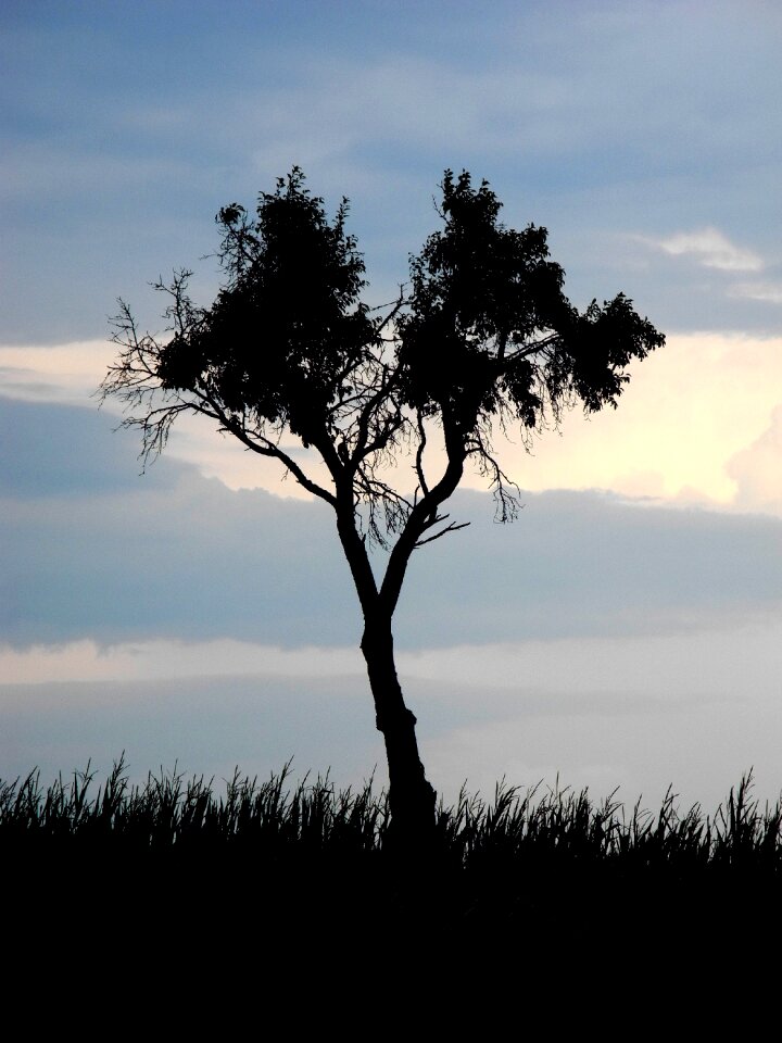 Silhouette sky clouds