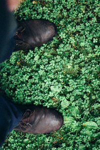 Leather leather shoes leaves