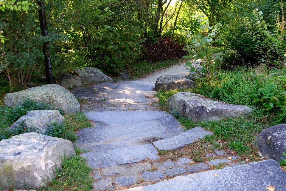Arlington Bicentennial Park & Alewife Greenway Path - Arlington, MA - DSC07482
