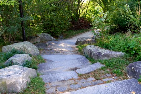 Arlington Bicentennial Park & Alewife Greenway Path - Arlington, MA - DSC07482