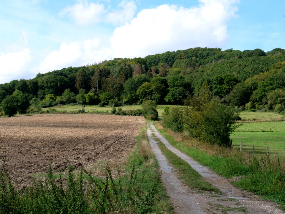 Around Schlehbach between Schmidt and Brück 18