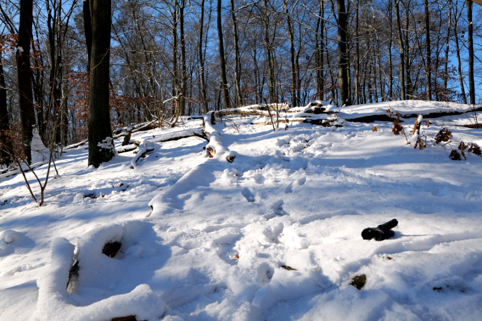 Around Schlachtensee with snow 2021-01-31 17