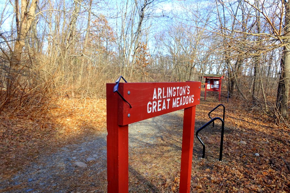 Arlington's Great Meadows - Lexington, MA - DSC04524