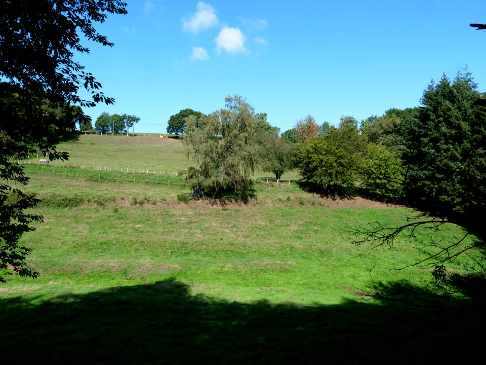Around Schlehbach between Schmidt and Brück 01