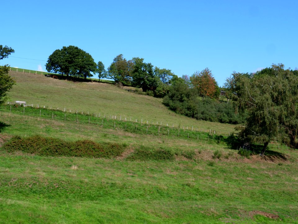 Around Schlehbach between Schmidt and Brück 04