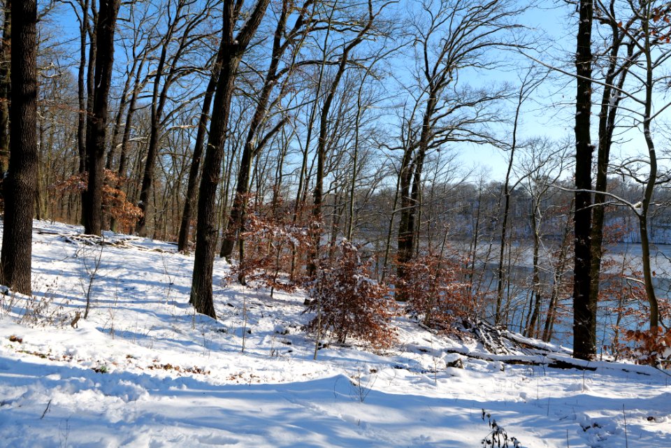 Around Schlachtensee with snow 2021-01-31 27