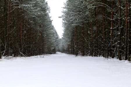 Around Oberjägerweg in Nieder Neuendorf with snow 2021-02-09 14