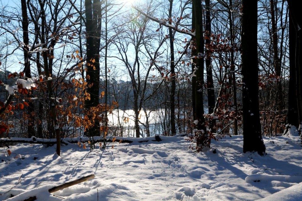 Around Schlachtensee with snow 2021-01-31 25