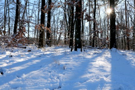 Around Schlachtensee with snow 2021-01-31 21