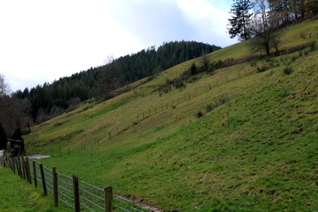 Around Sankenbach 2020-03-12 15