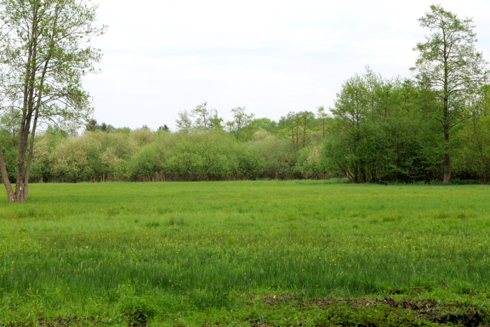 Around Pinnower See 2020-05-10 18