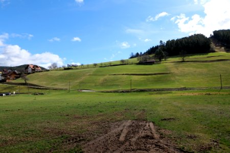 Around Sankenbach 2020-03-12 11
