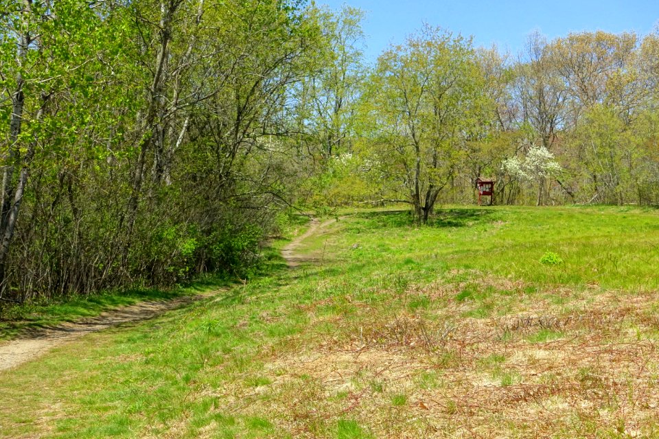 Arlington's Great Meadows - Lexington, MA - DSC01642