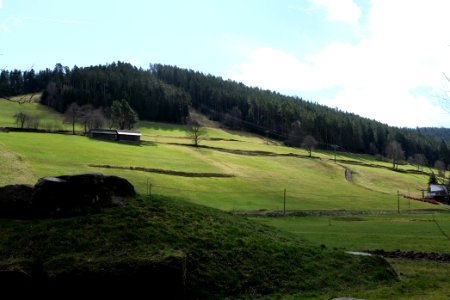 Around Sankenbach 2020-03-12 01