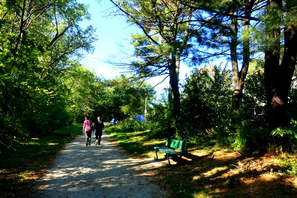 Arlington Bicentennial Park & Alewife Greenway Path - Arlington, MA - DSC07490