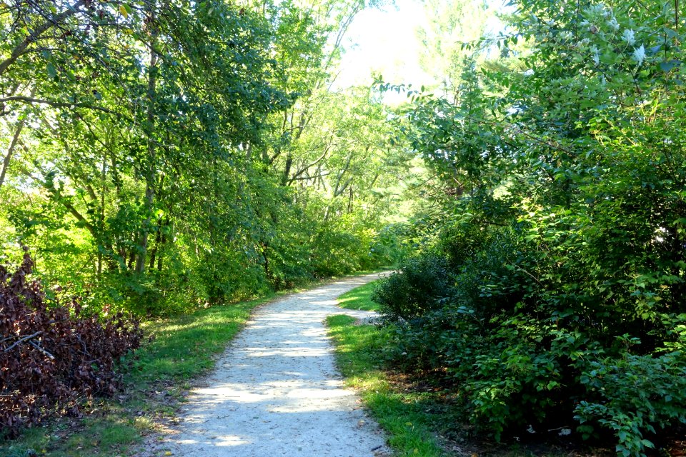 Arlington Bicentennial Park & Alewife Greenway Path - Arlington, MA - DSC07484