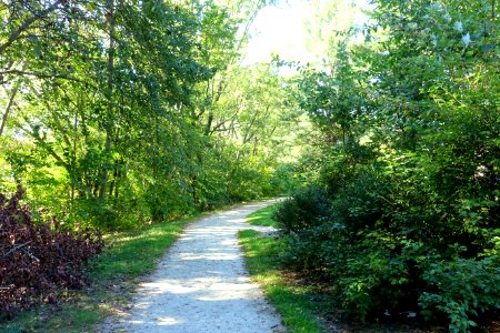 Arlington Bicentennial Park & Alewife Greenway Path - Arlington, MA - DSC07484