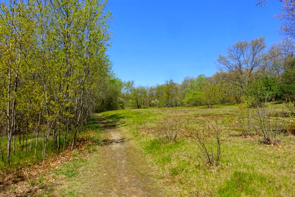 Arlington's Great Meadows - Lexington, MA - DSC01634