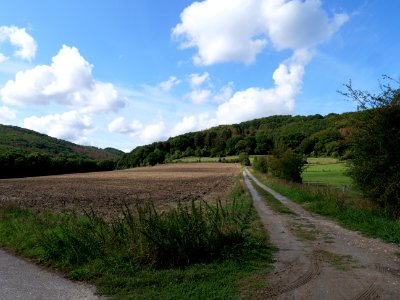 Around Schlehbach between Schmidt and Brück 17